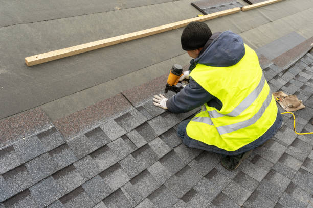 Roof Gutter Cleaning in Barry, IL