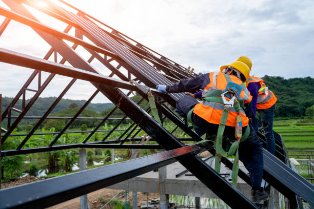 Best Roof Repair Services  in Barry, IL