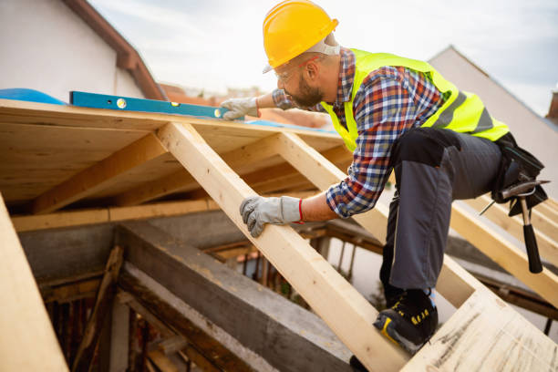 Best Roof Leak Repair  in Barry, IL