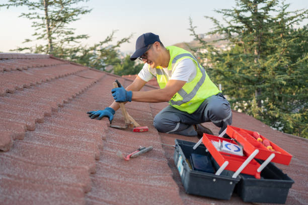 Best Roof Waterproofing Services  in Barry, IL